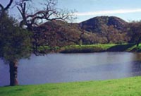 Lakes, Ponds, & Docks 1