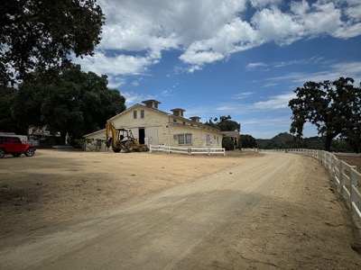 Cattle Division cover image